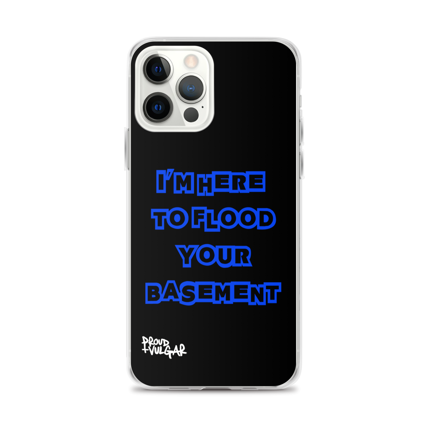 Flooded Basement - proudandvulgar