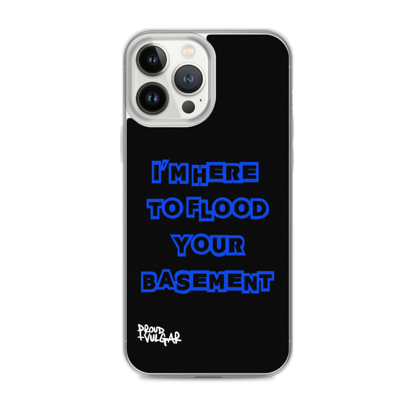 Flooded Basement - proudandvulgar