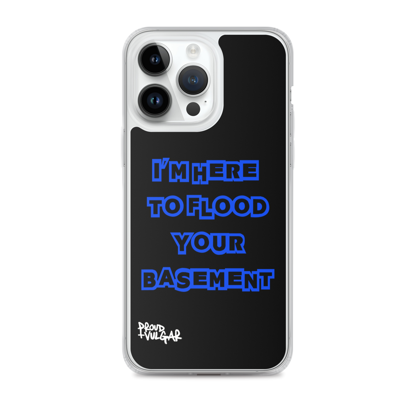 Flooded Basement - proudandvulgar