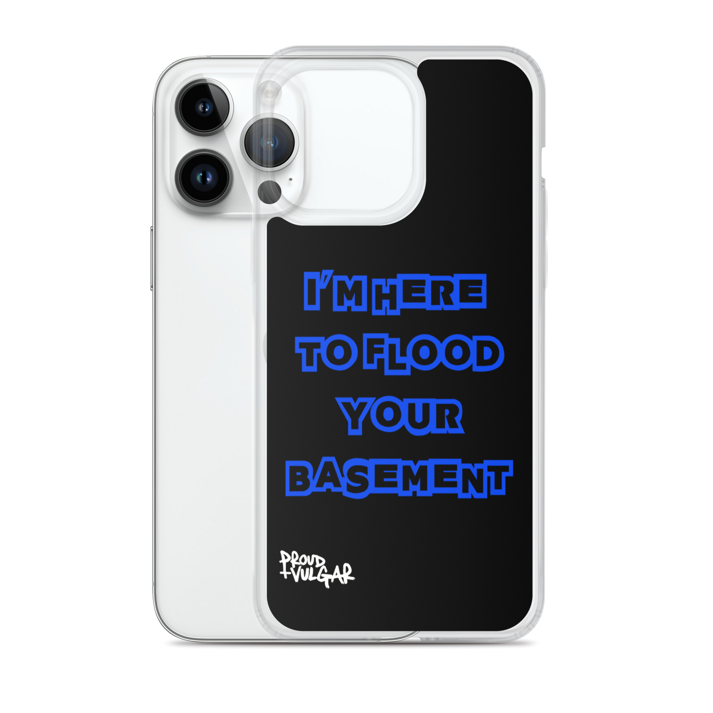 Flooded Basement - proudandvulgar