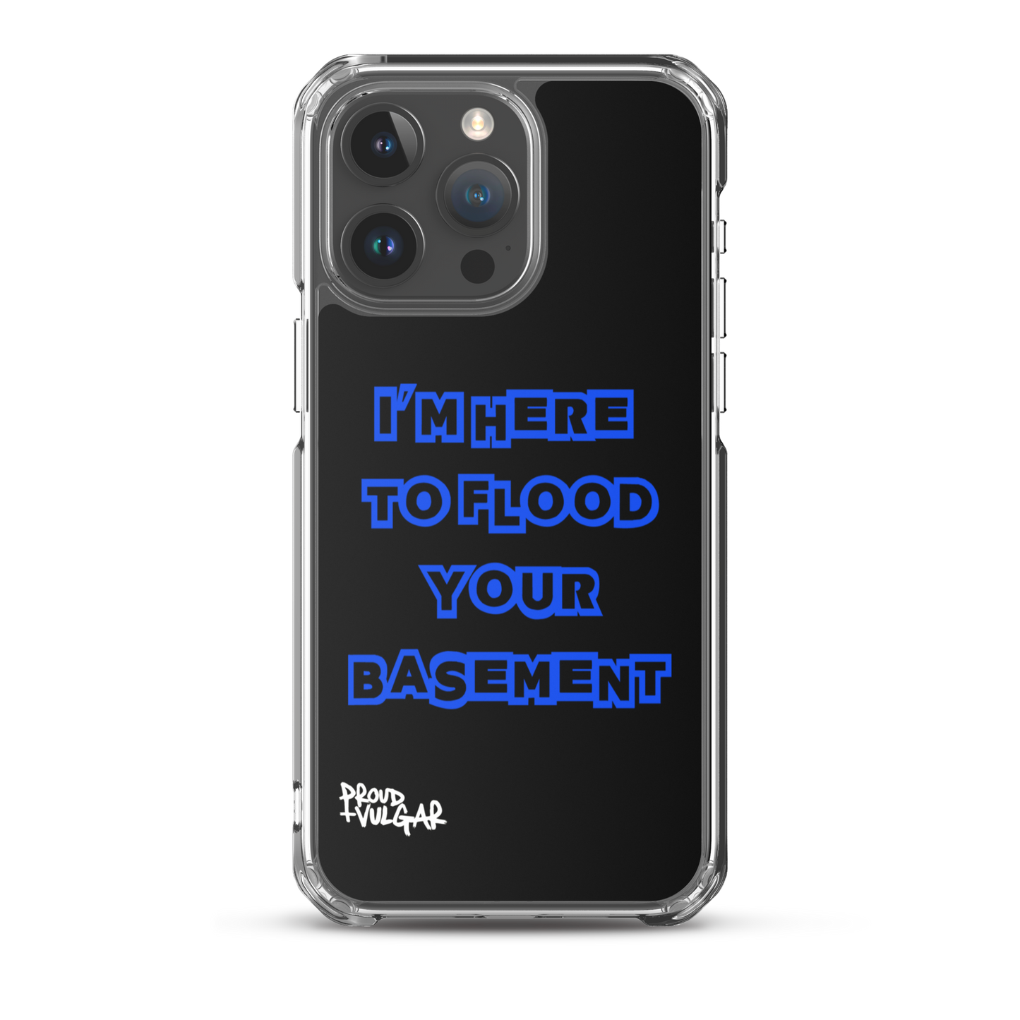Flooded Basement - proudandvulgar