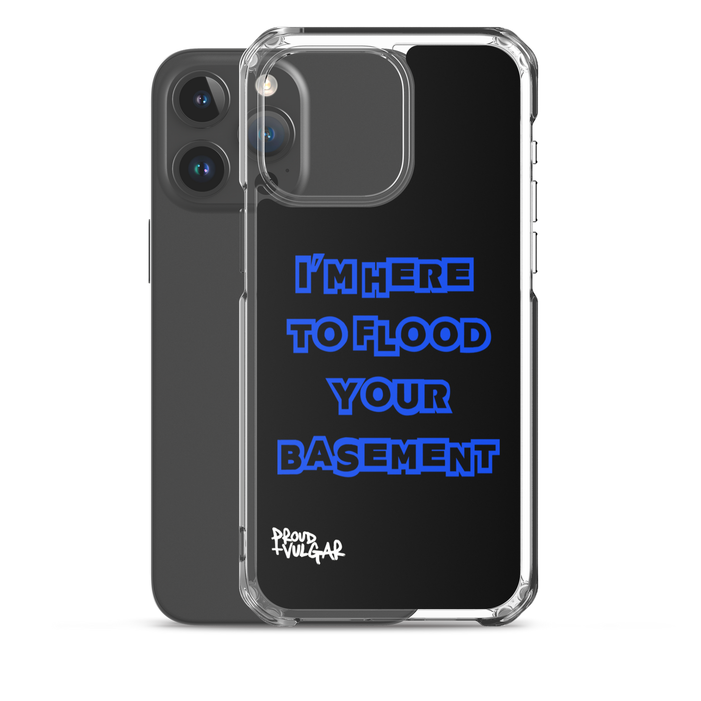 Flooded Basement - proudandvulgar