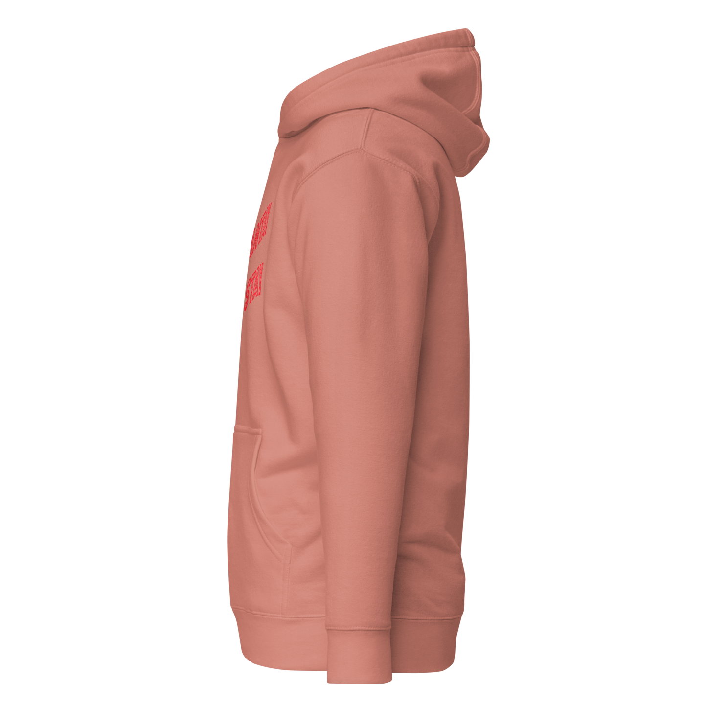 Shantay You Stay Premium Unisex Hoodie