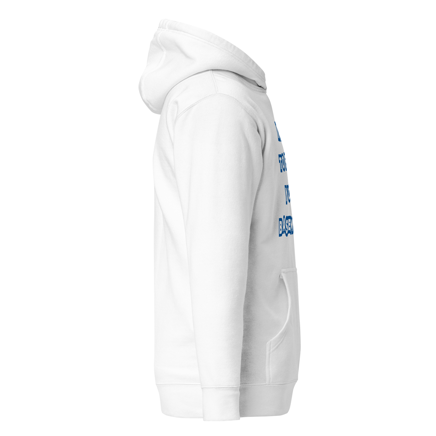 Flooded Basement Premium Unisex Hoodie