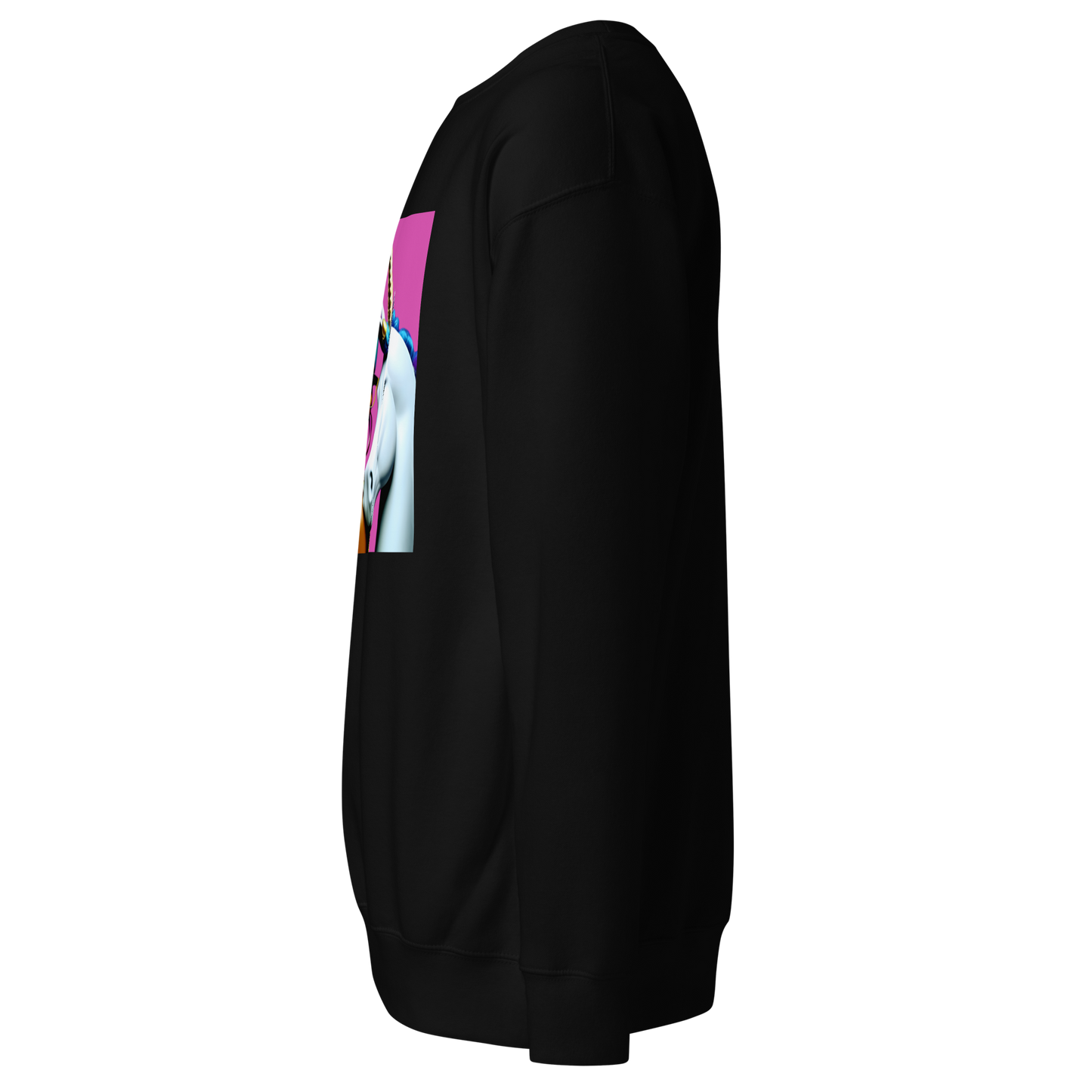 Unicorn Woman Premium Unisex Sweatshirt