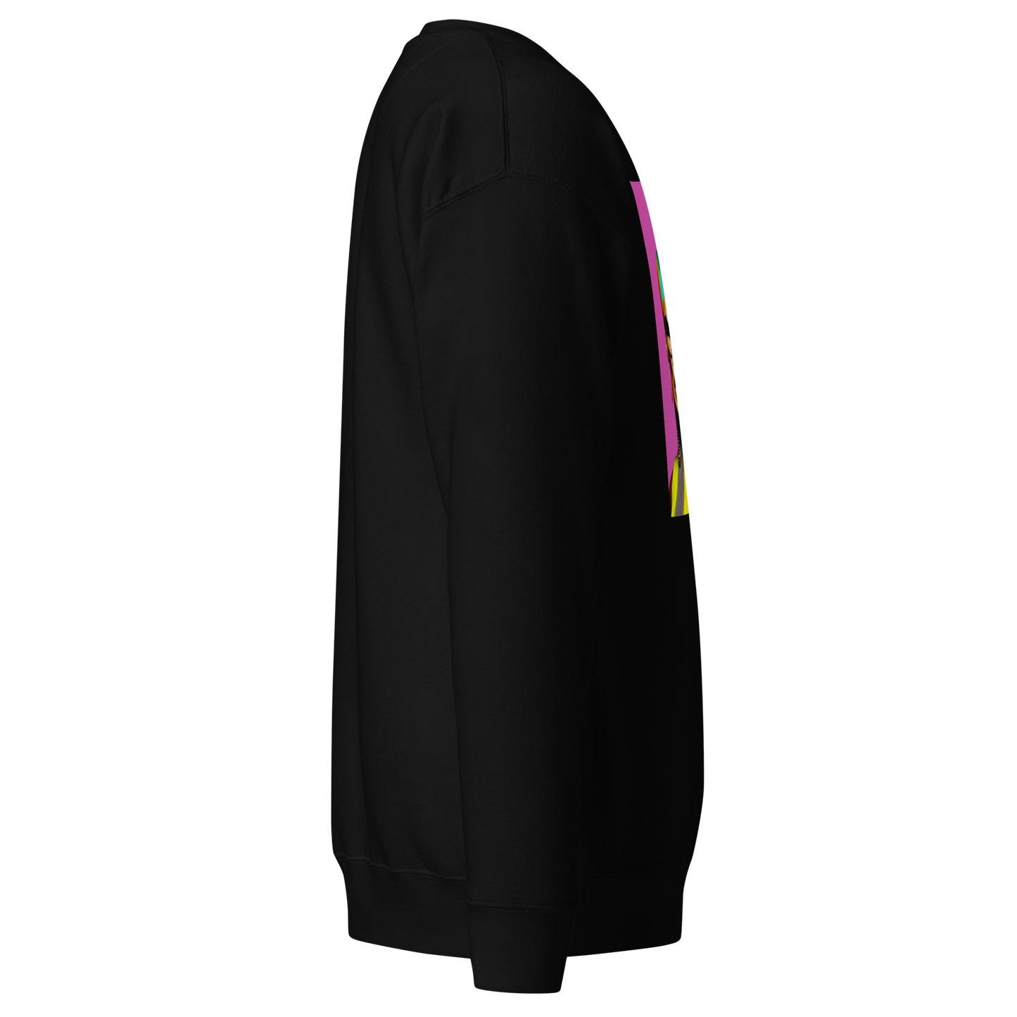 Unicorn Woman Premium Unisex Sweatshirt