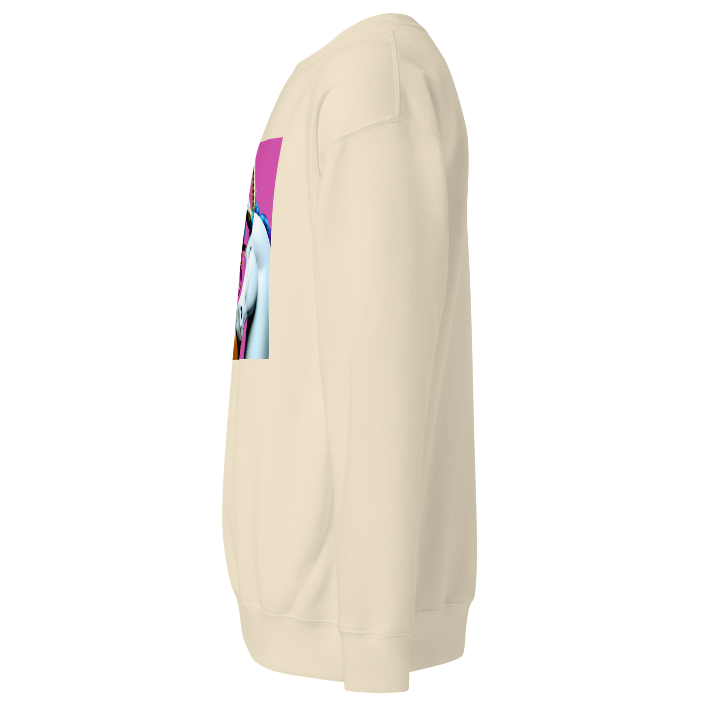 Unicorn Woman Premium Unisex Sweatshirt