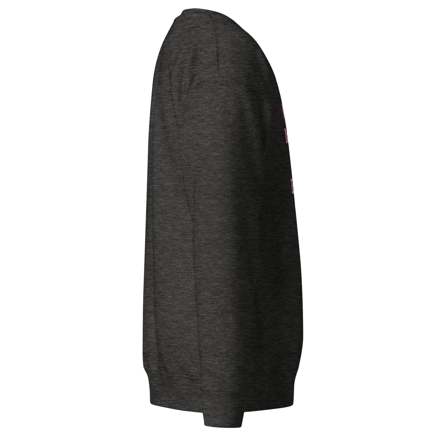 Too Many Daddies Premium Unisex Sweatshirt