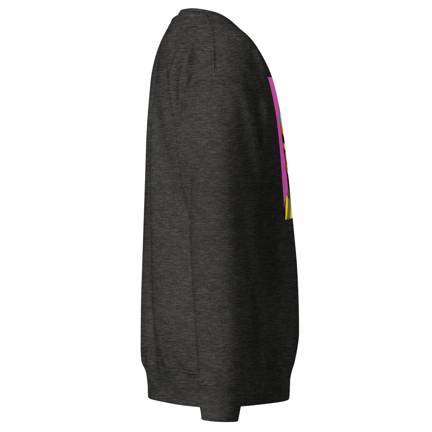 Unicorn Woman Premium Unisex Sweatshirt