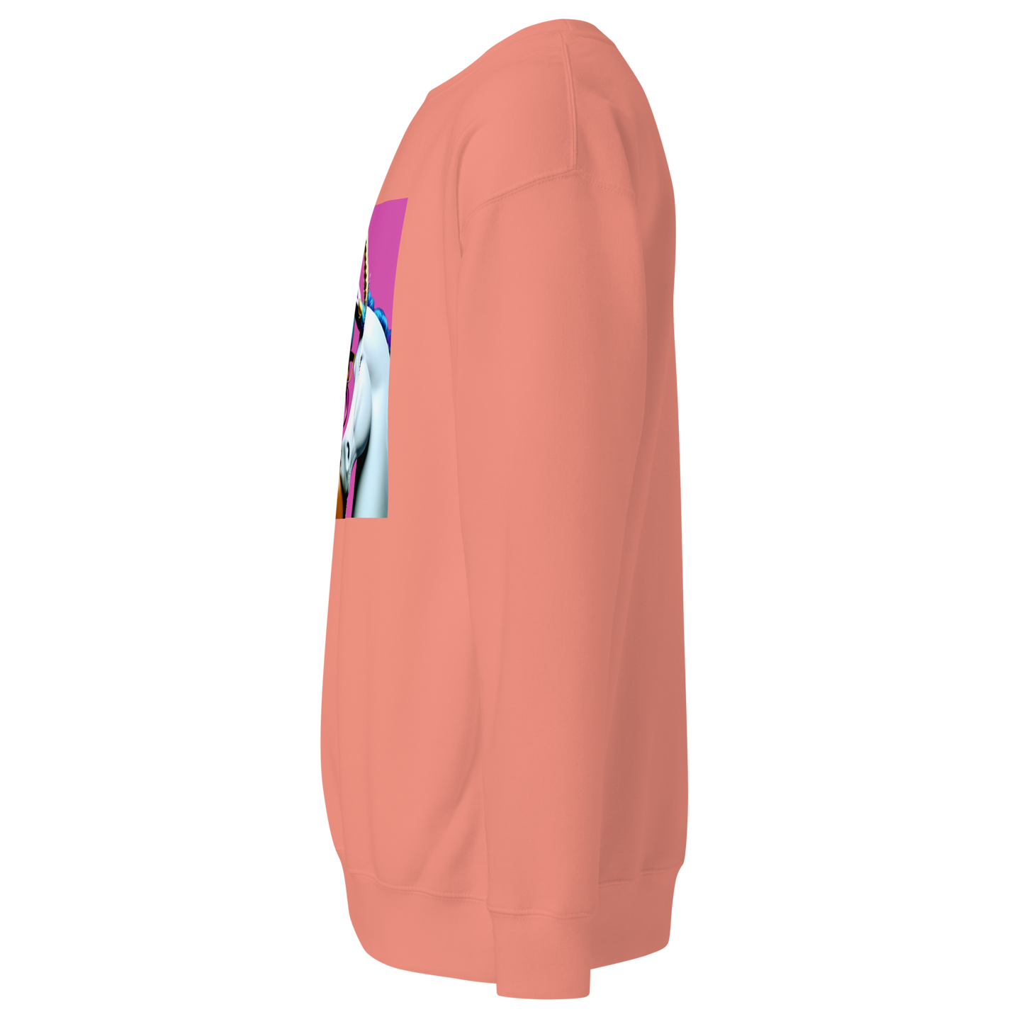 Unicorn Woman Premium Unisex Sweatshirt