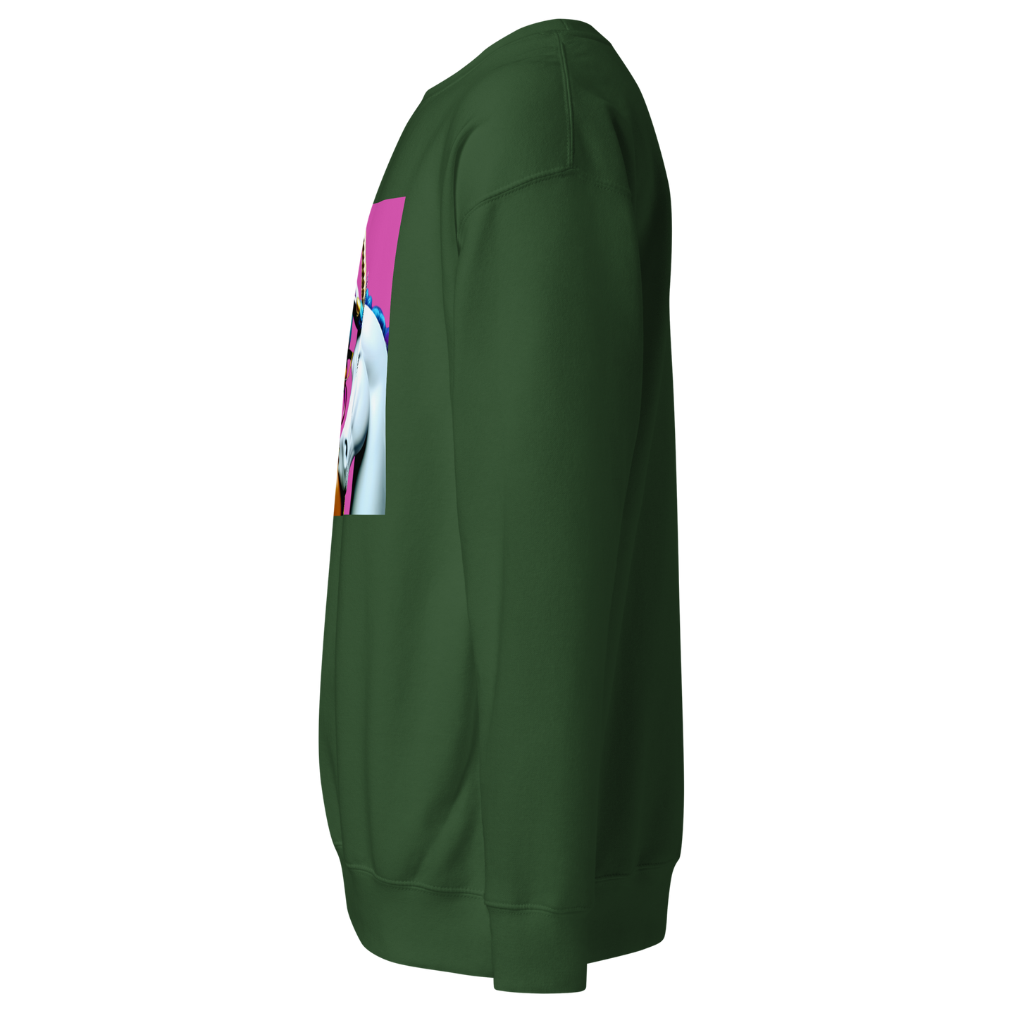 Unicorn Woman Premium Unisex Sweatshirt