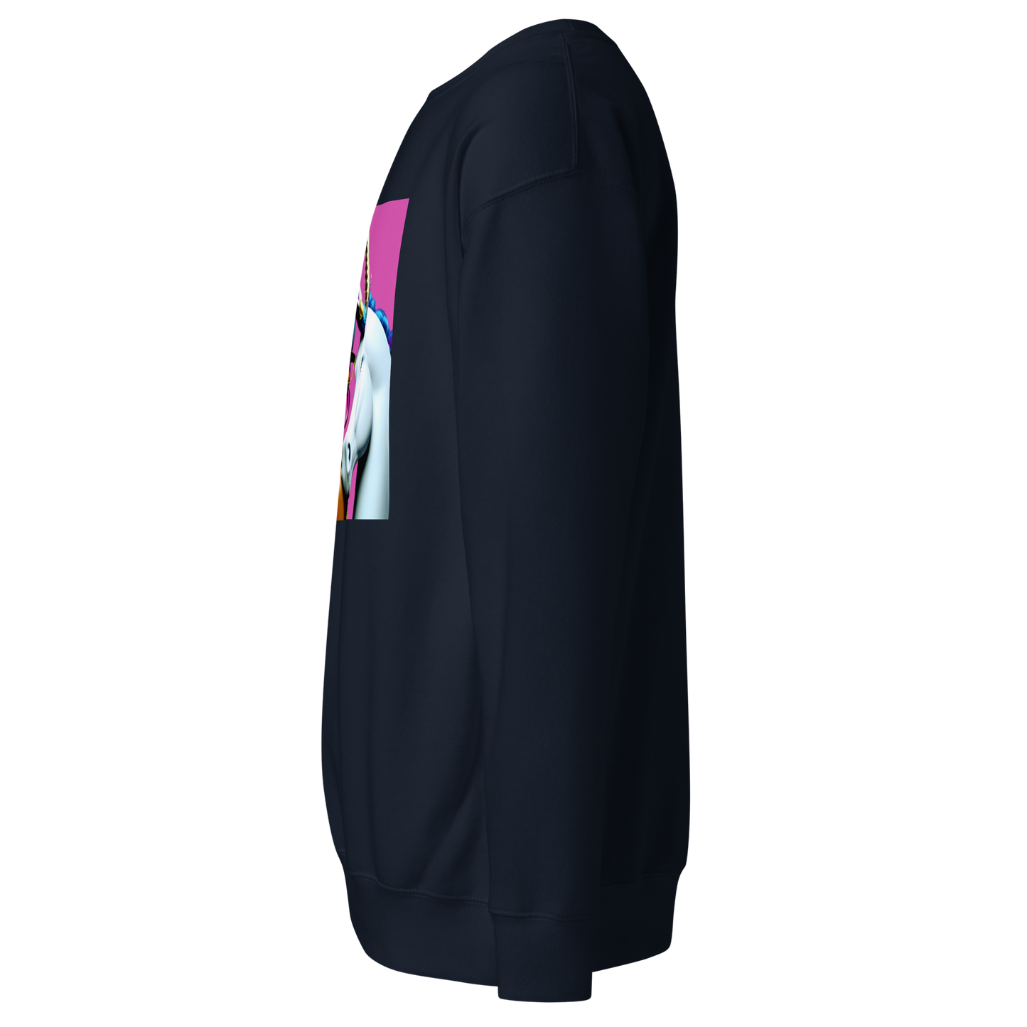 Unicorn Woman Premium Unisex Sweatshirt