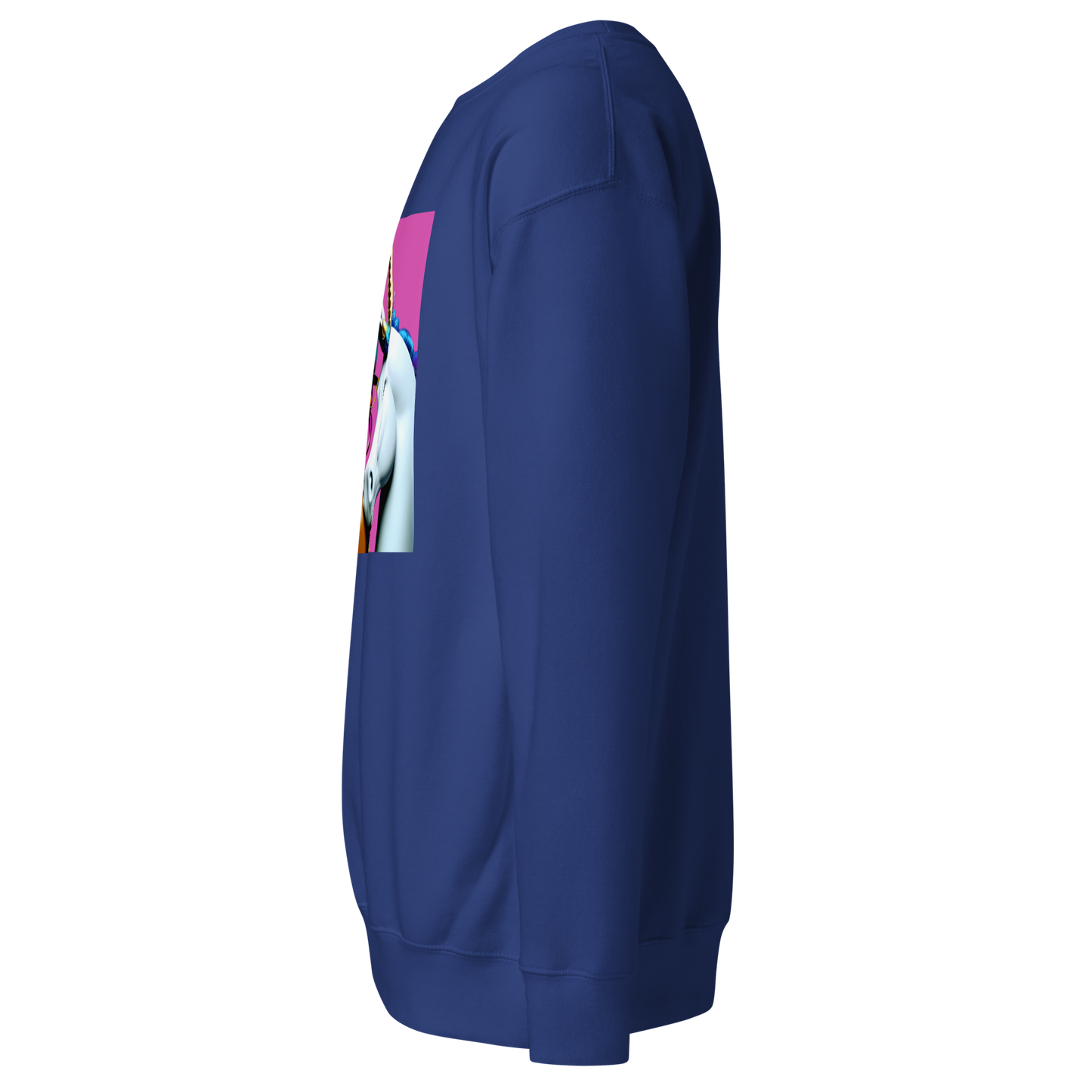 Unicorn Woman Premium Unisex Sweatshirt