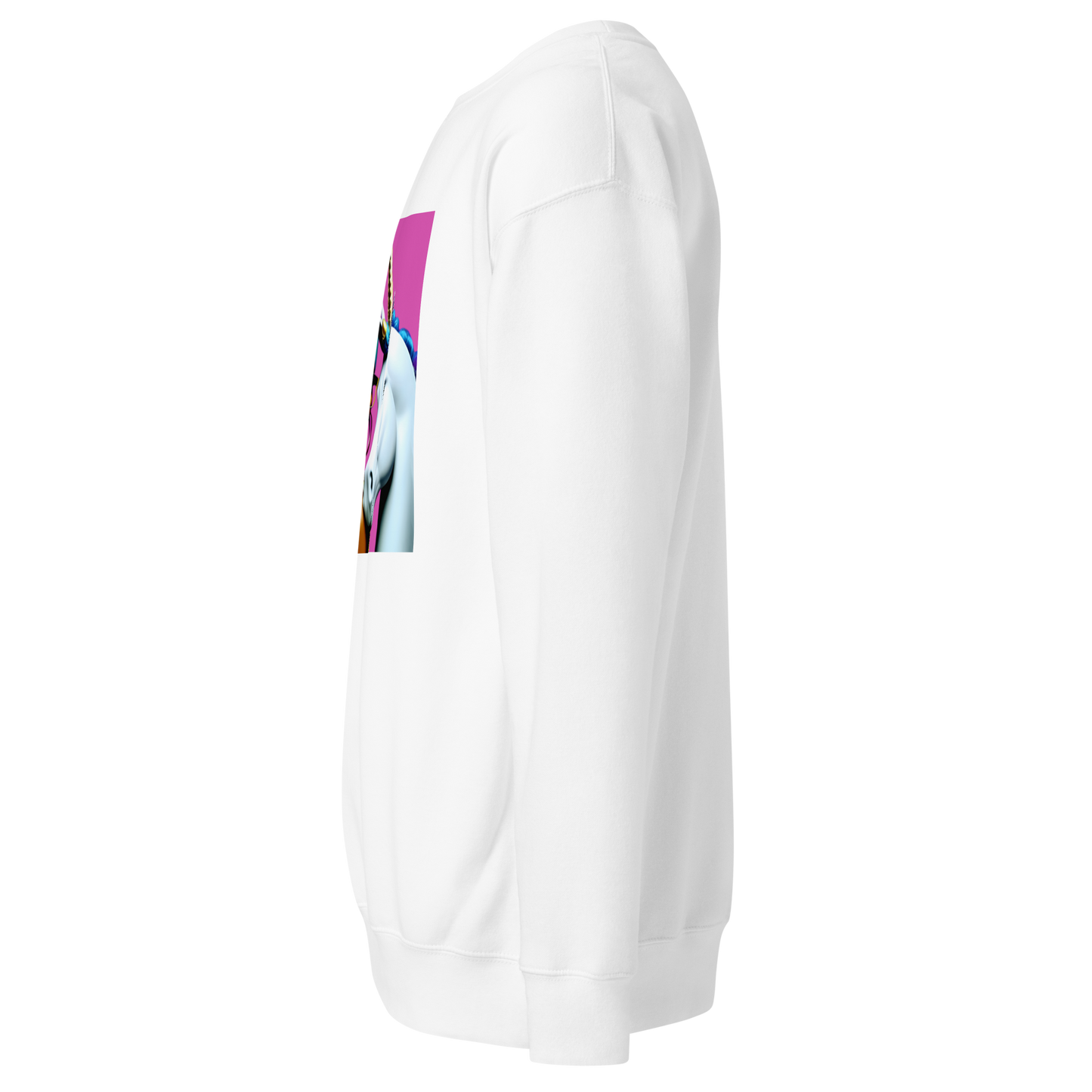 Unicorn Woman Premium Unisex Sweatshirt