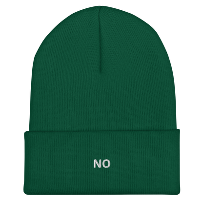 No Cuffed Beanie