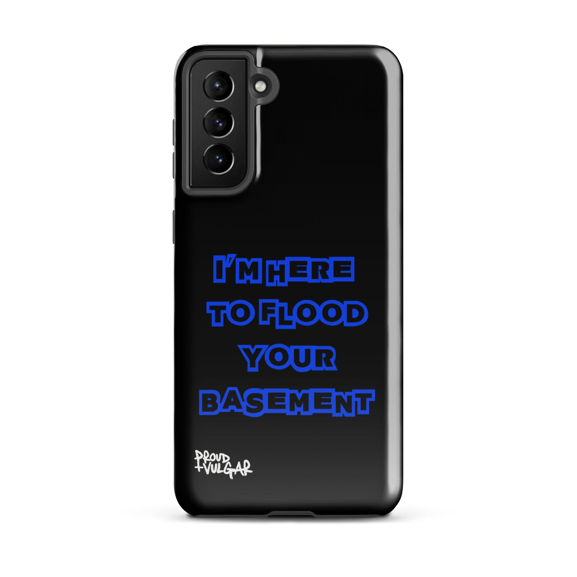 Flooded Basement - proudandvulgar