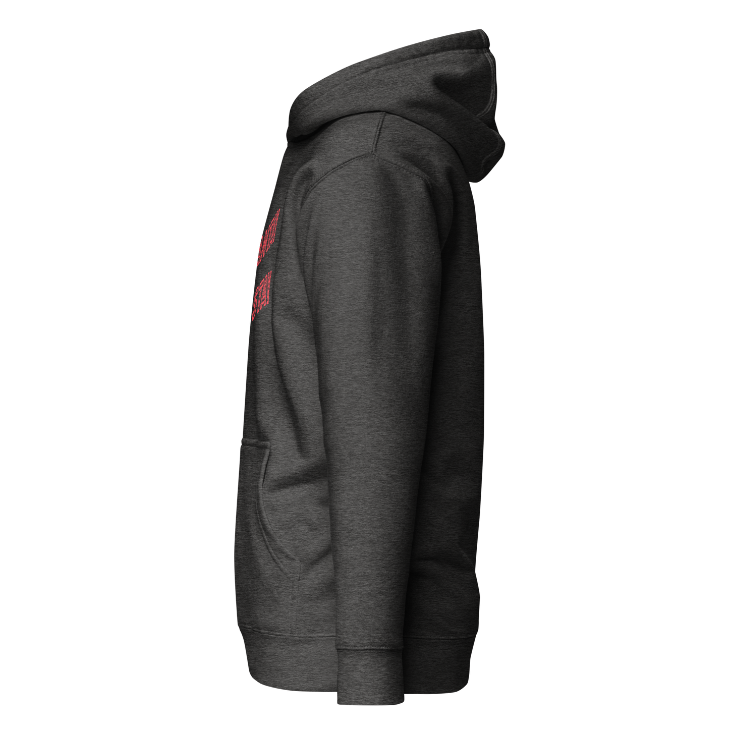 Shantay You Stay Premium Unisex Hoodie
