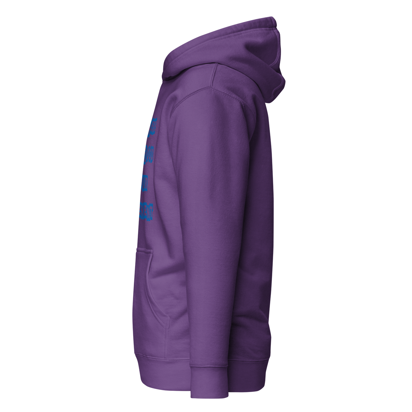 Flooded Basement Premium Unisex Hoodie