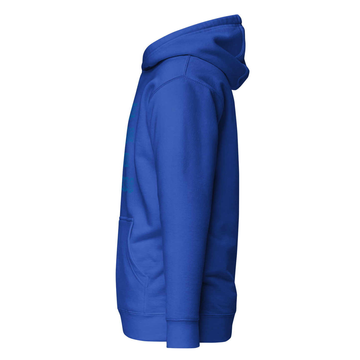 Flooded Basement Premium Unisex Hoodie