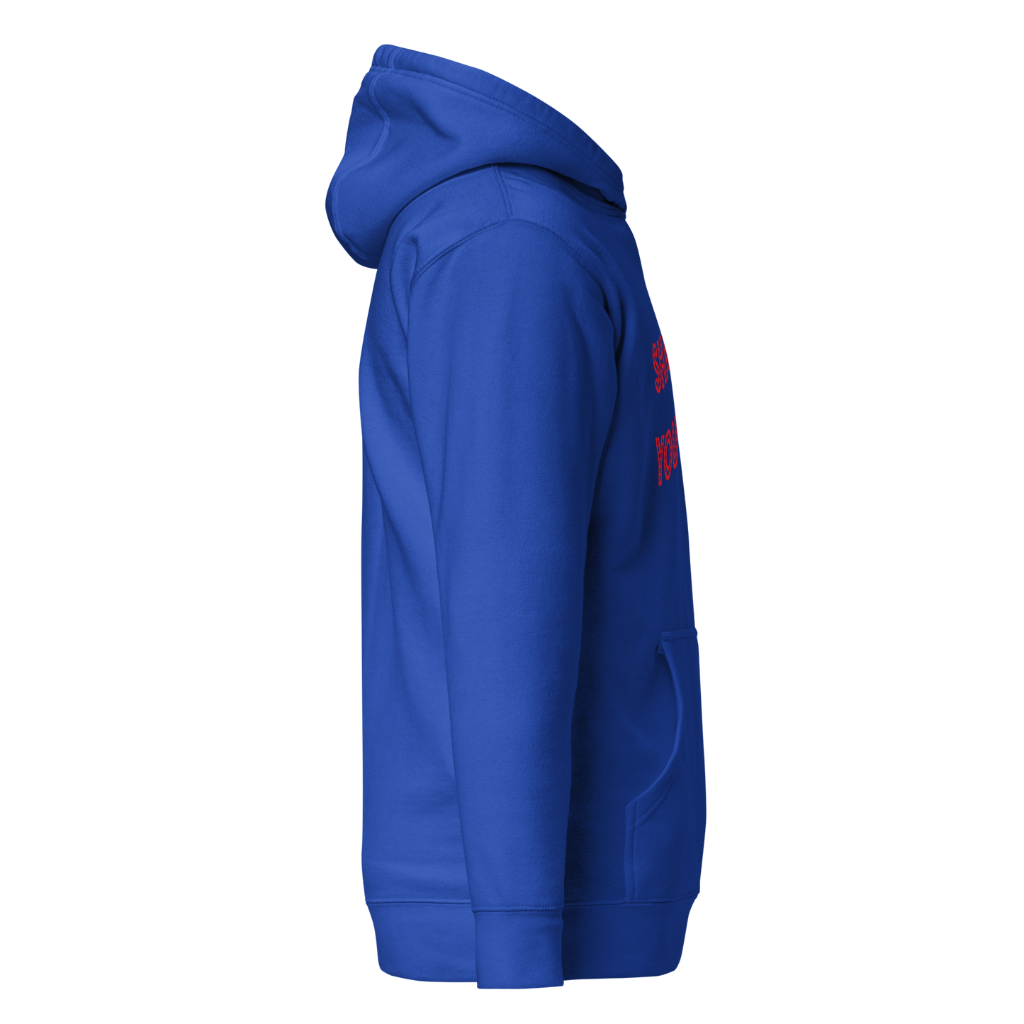 Shantay You Stay Premium Unisex Hoodie