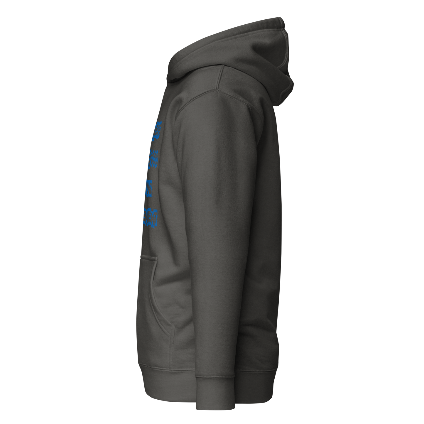 Flooded Basement Premium Unisex Hoodie