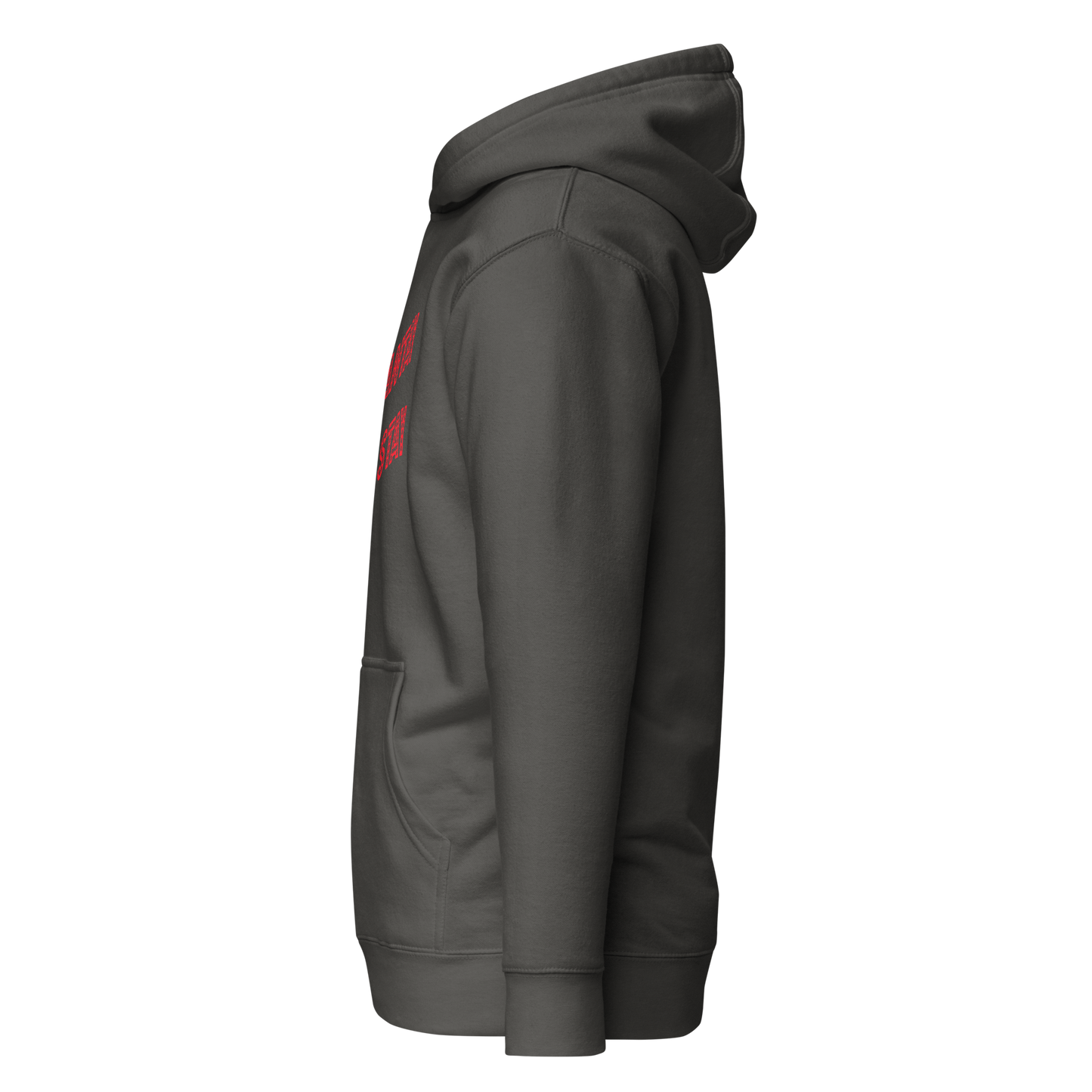 Shantay You Stay Premium Unisex Hoodie
