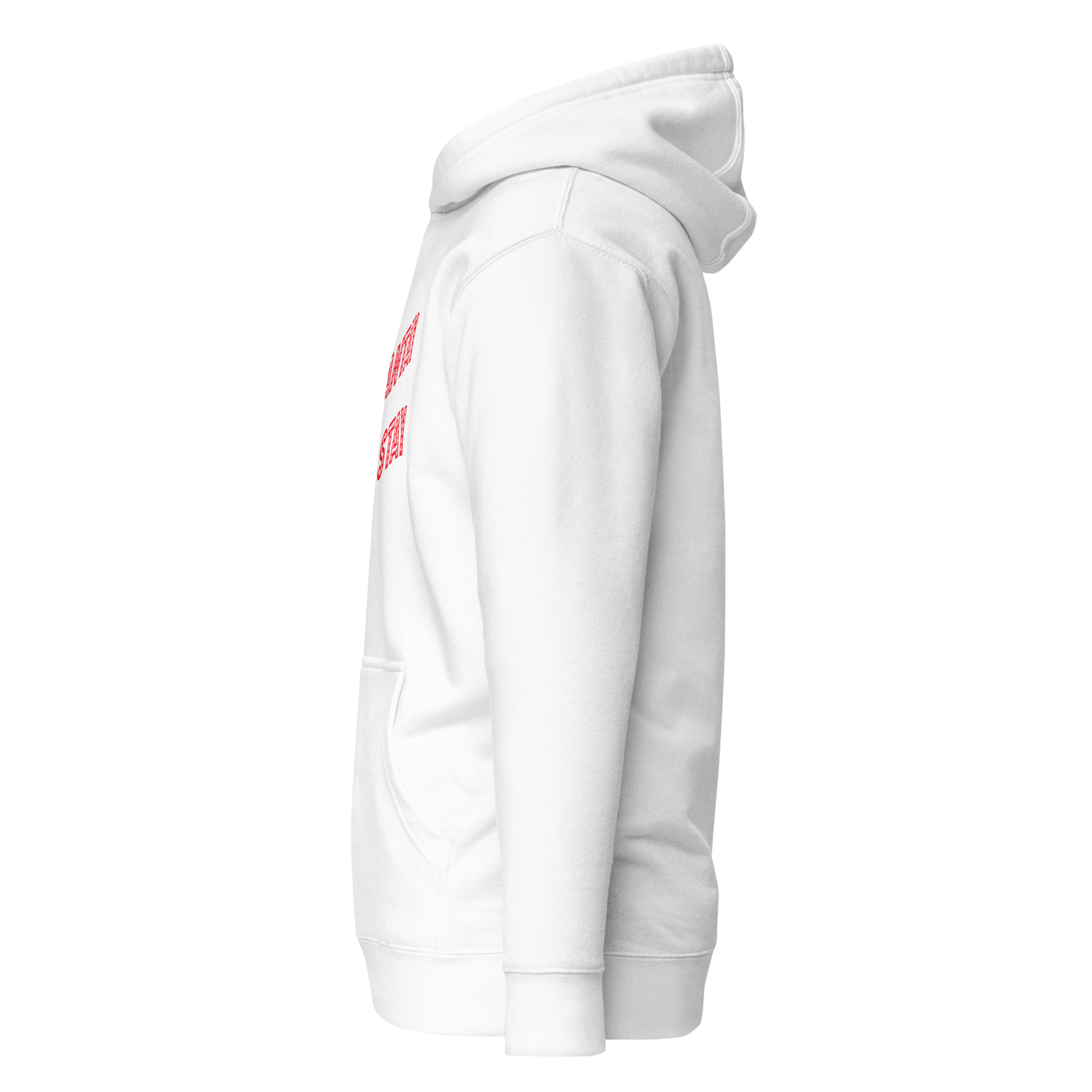 Shantay You Stay Premium Unisex Hoodie