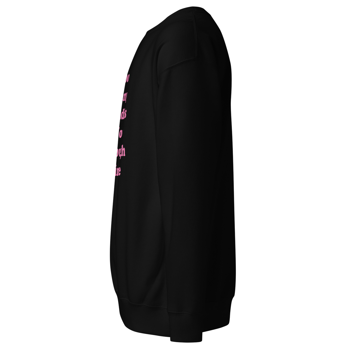 Too Many Daddies Premium Unisex Sweatshirt