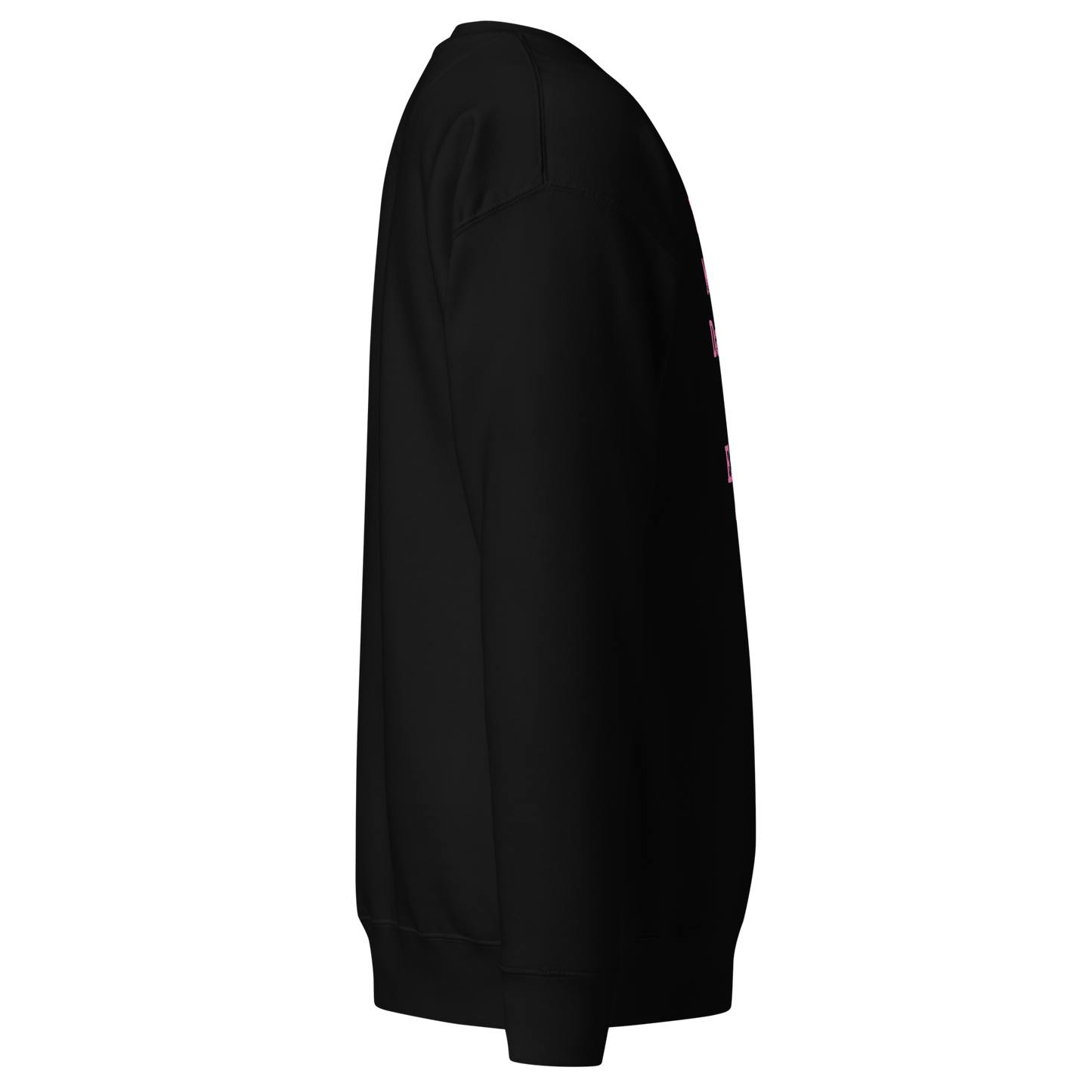 Too Many Daddies Premium Unisex Sweatshirt