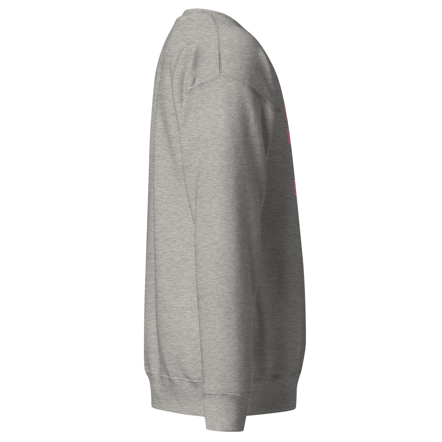 Too Many Daddies Premium Unisex Sweatshirt