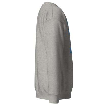 Flooded Basement Premium Unisex Sweatshirt