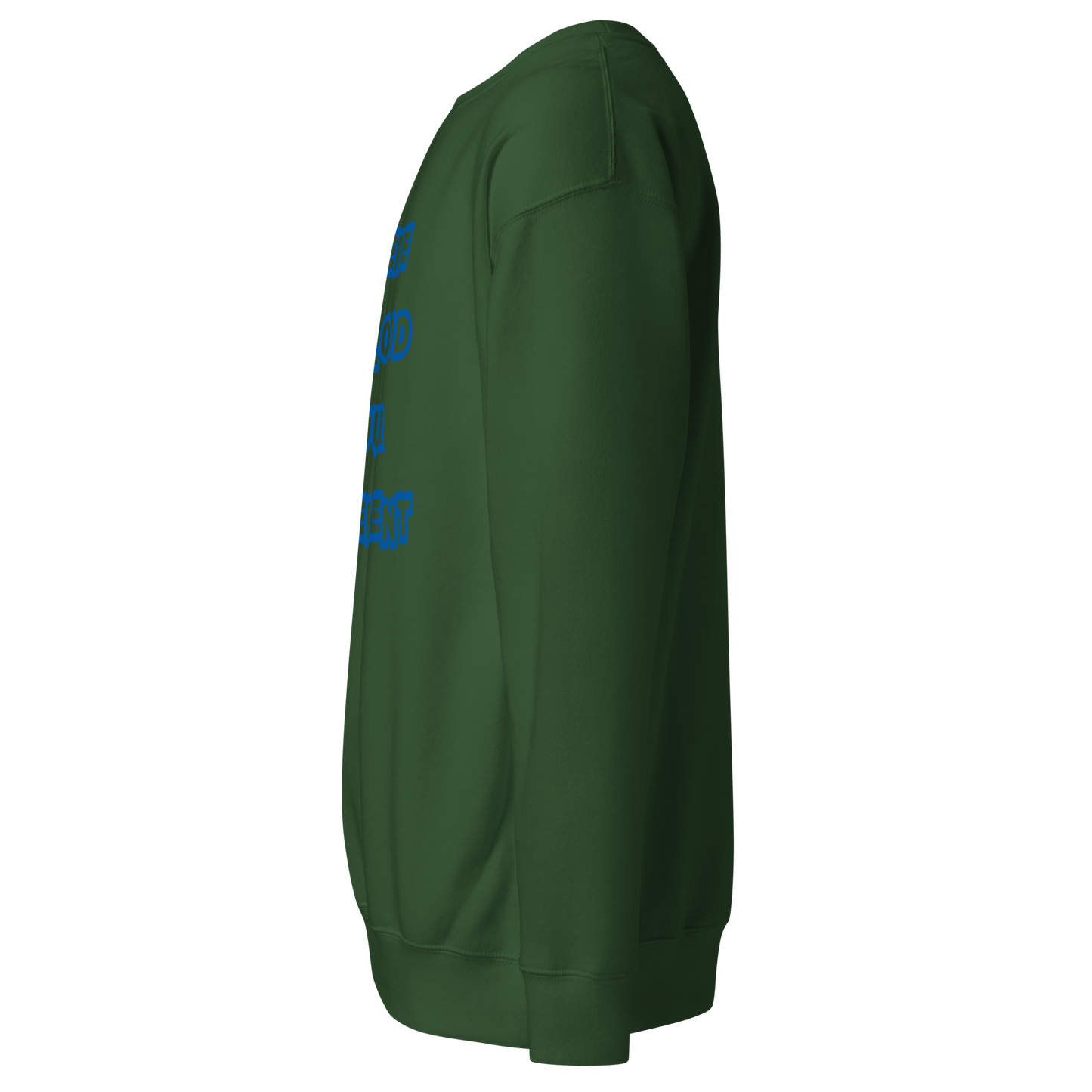 Flooded Basement Premium Unisex Sweatshirt