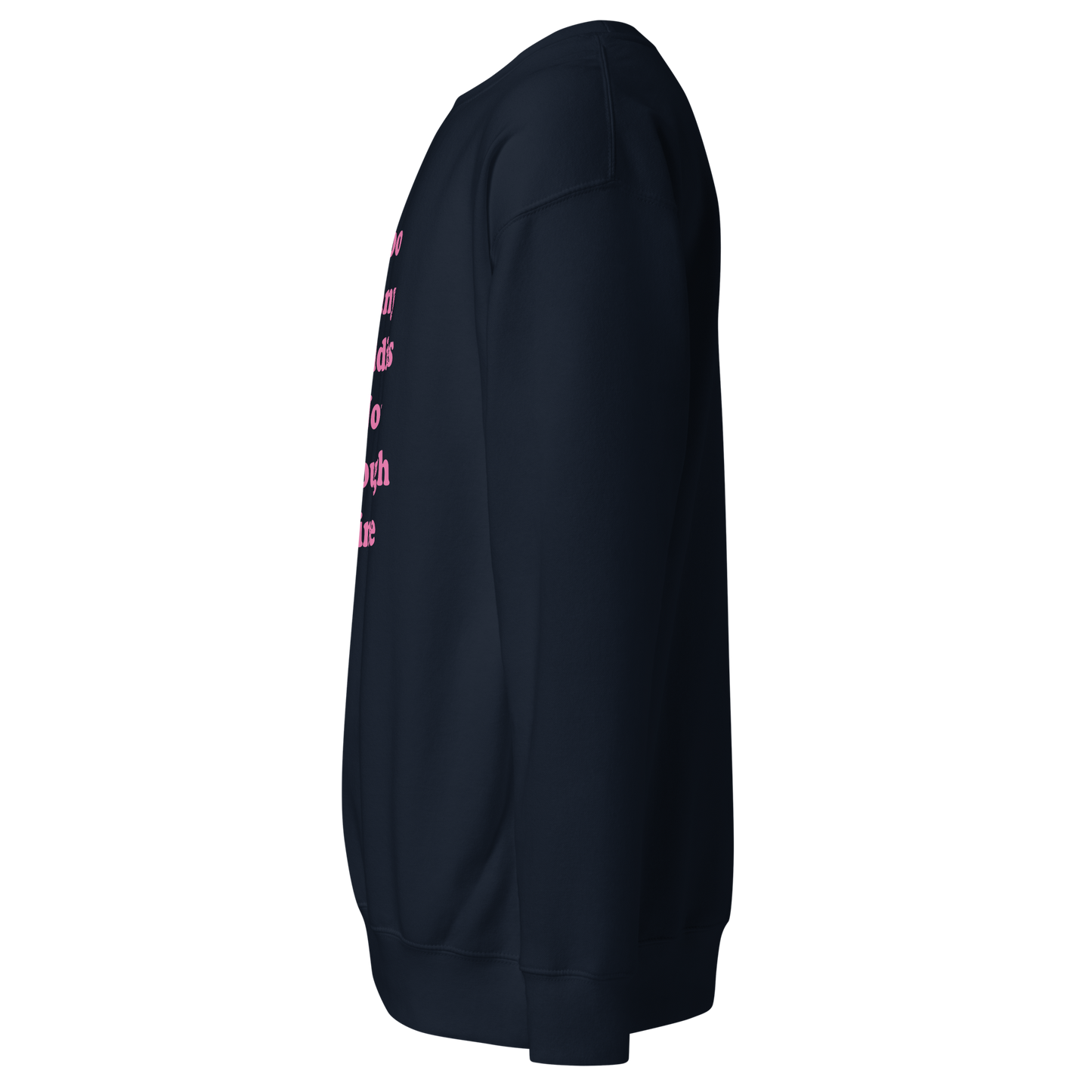 Too Many Daddies Premium Unisex Sweatshirt