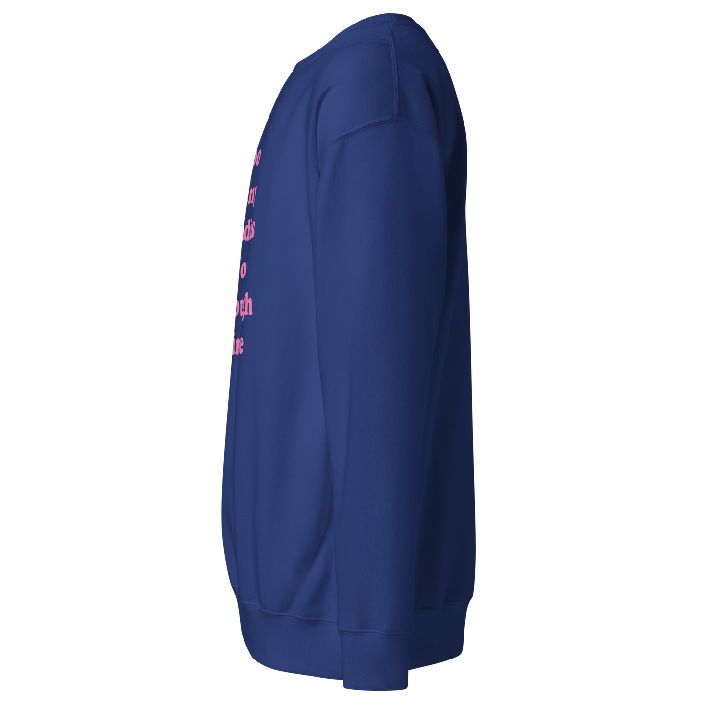 Too Many Daddies Premium Unisex Sweatshirt