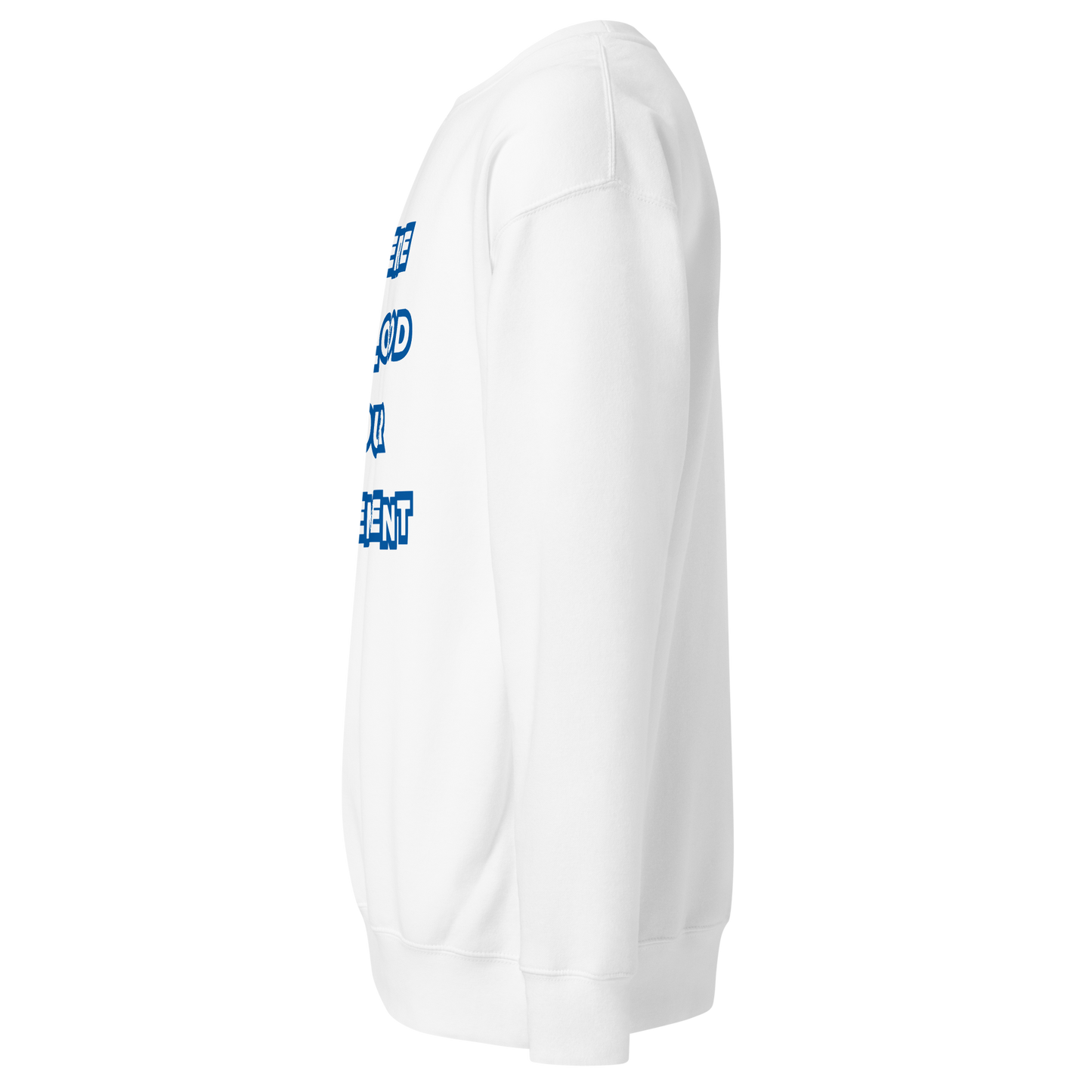 Flooded Basement Premium Unisex Sweatshirt